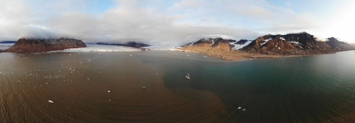 „Brązowe strefy” w Kongsfiordzie, Svalbard
