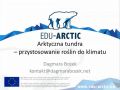 Arktyczna tunfra: przystosowania roślin do klimatu