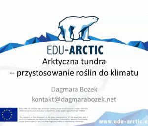 Arktyczna tunfra: przystosowania roślin do klimatu