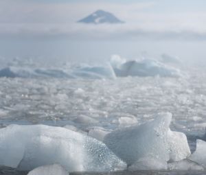 Lód u wybrzeży Isbjornhamny
