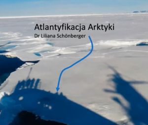 Atlantyfikacja Arktyki. Nowe wyzwania przed ekosystemami arktycznymi