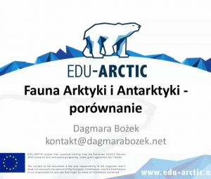 Fauna Arktyki i Antarktyki - porównanie