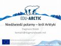 Niedźwiedź polarny - król Arktyki