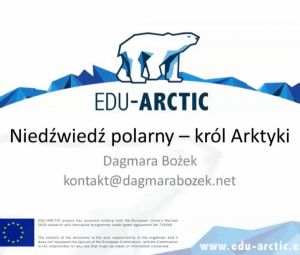 Niedźwiedź polarny - król Arktyki