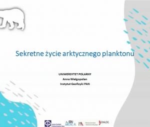 Sekretne życie arktycznego planktonu