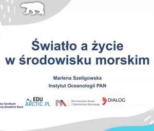 Światło a życie w środowisku morskim