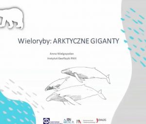 Wieloryby - arktyczne giganty