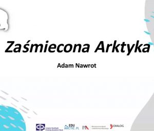 Zaśmiecona Arktyka