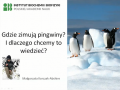 Gdzie zimują pingwiny i dlaczego chcemy to wiedzieć