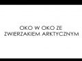 Oko w oko ze zwierzakiem arktycznym