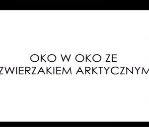 Oko w oko ze zwierzakiem arktycznym