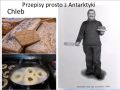 Przepisy prosto z... Antarktyki!