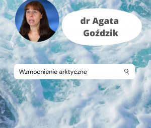 wzmocnienie arktyczne